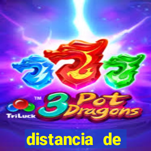 distancia de maragogi e porto de galinhas
